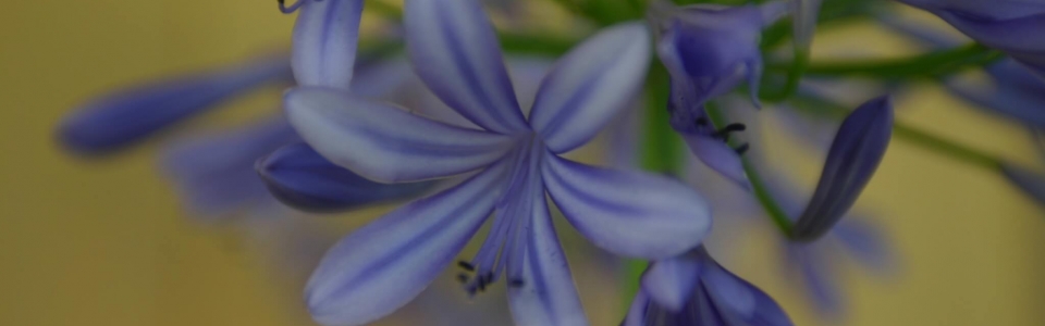 Bilde 087 2 Bilde 087 2