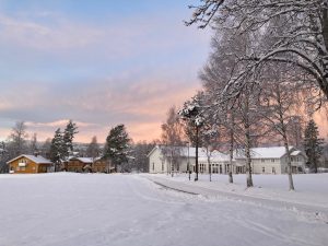 Villa Sana, Kildehuset, Arbeidshelse, leger, tannleger, sykepleiere.