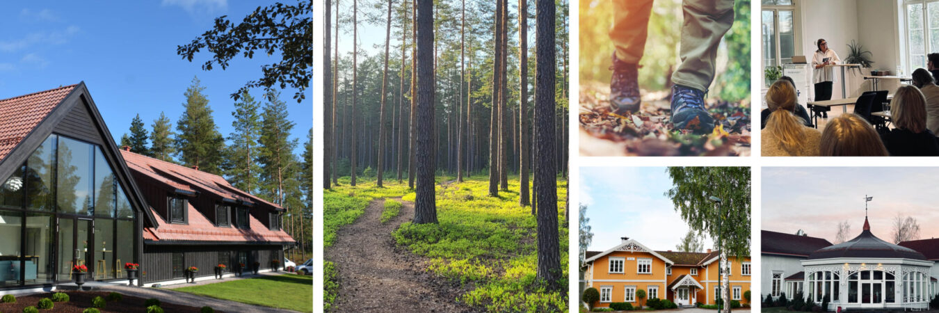 WEB_topp_LEGEKURS_medkildehus WEB_topp_LEGEKURS_medkildehus